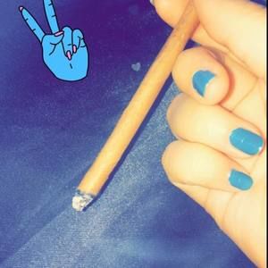 Meet your Posher, Annabelle